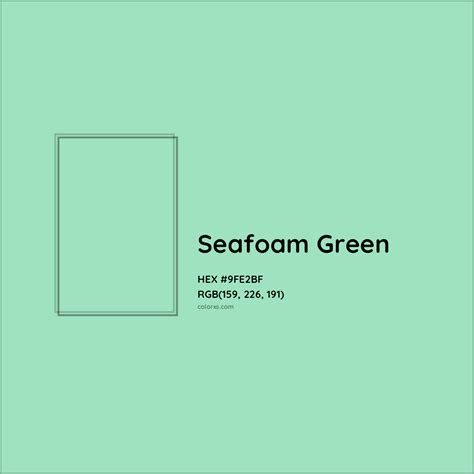 HEX #9FE2BF Seafoam Green Color - Color Code in 2025 | Seafoam green ...