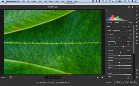camera raw最新版本下载|Adobe Camera Raw(PhotoShop增效工具) V11.2.1 官方版下载_当下软件园