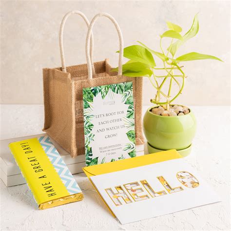 Lucky Money Plant Gift Combo – thedottedi.in