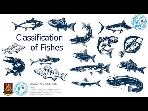 Types 的图像结果