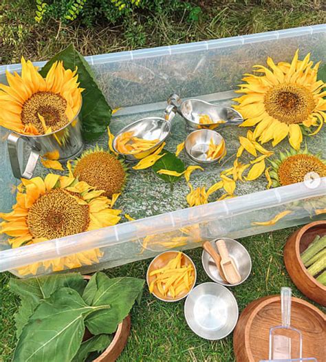 Early Years Summer Activities for Ages 1-2 - Twinkl