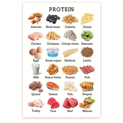 Protein Products Chart - Healthy Eating Nutrition - Protein Food Groups ...