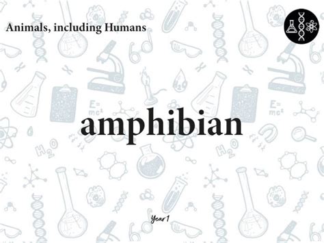 Science Vocabulary Flashcards | Teaching Resources