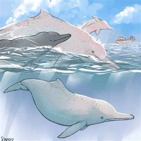 白海豚的眼淚 - 白海豚
