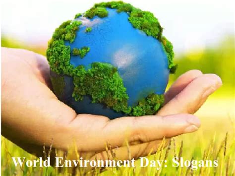 World Environment Day 2021: 29 Best Slogans to spread the awareness