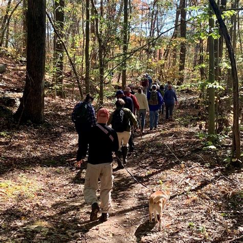 Mountains to sea trail at craven gap – Artofit