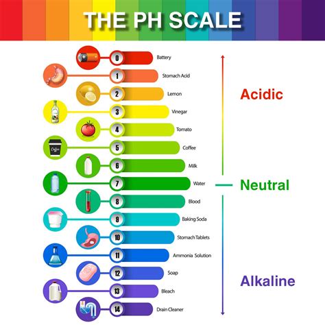 Gastric Acid Ph