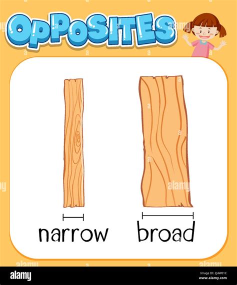 Opposite words for narrow and broad illustration Stock Vector Image ...