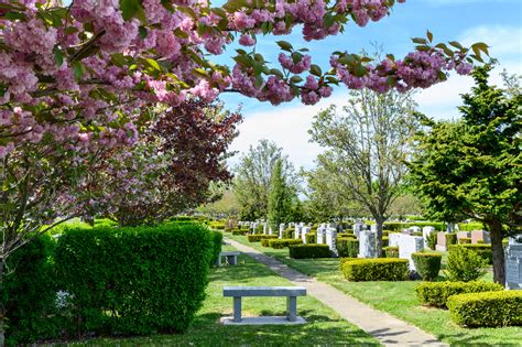 New Montefiore Cemetery
