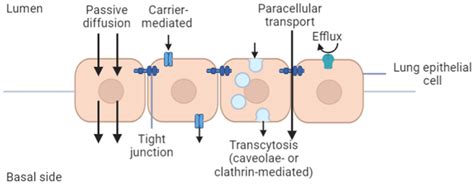 Advanced Nanoparticle-Based Drug Delivery Systems and Their Cellular ...