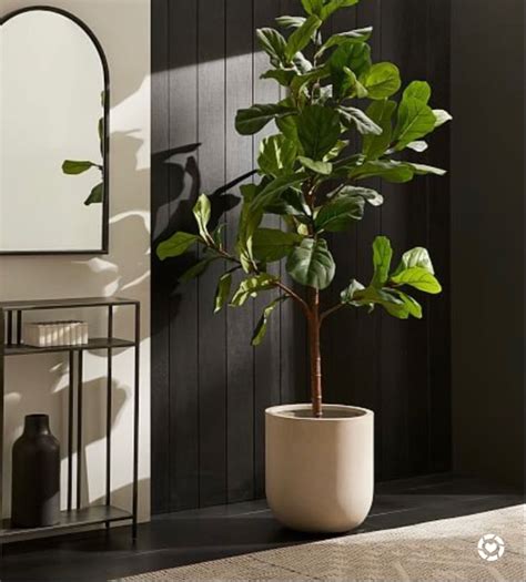 Image result for Fake Tree File Directory