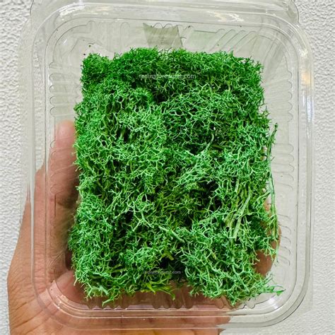 Green Moss Grass – Resin Store Surat