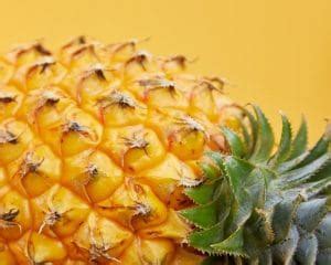 Image result for Color Emphasis Photography