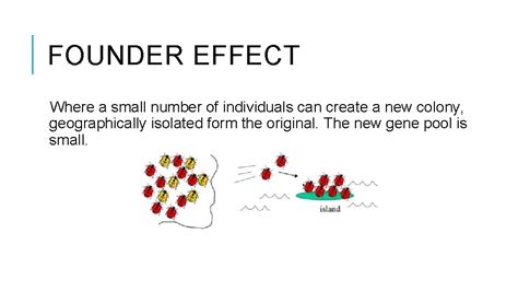 Image result for Genotype Example