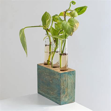 Mirai woods ® Kashtham Mango Wood Test Tube Plant Holder with 3 Test ...
