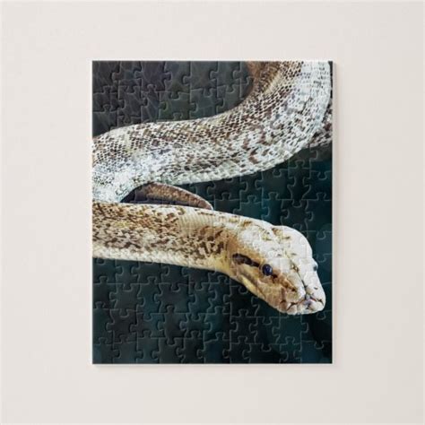 Image result for Python Snake Puzzle 60 PCs