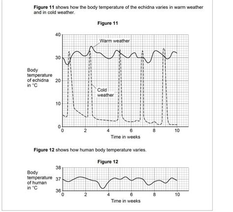 Compare the variation in body temperature of the echidna in warm ...