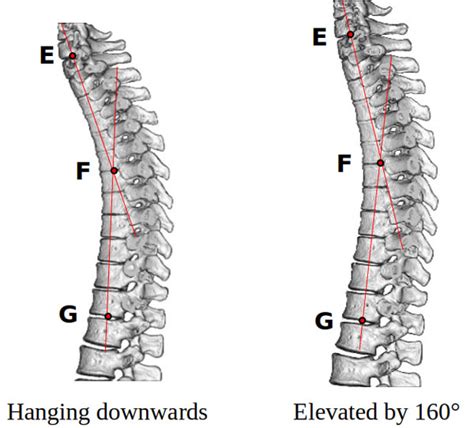 Image result for Traversing Algorithm in Stack Stacks