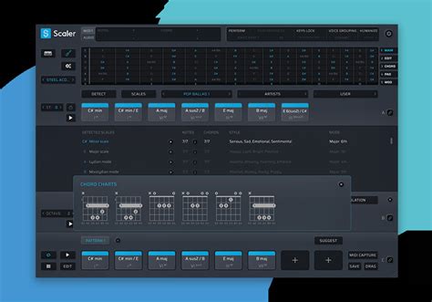 Scaler 2.9 Tutorial 的图像结果