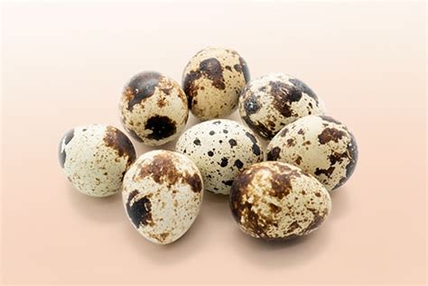 Quail Eggs / Uzura-Tamago | Glossary | Kikkoman Corporation