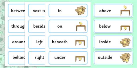 Springtime Chick Themed Positional Language Vocabulary Cards