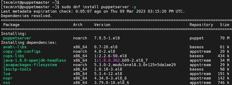 Image result for Puppet Install
