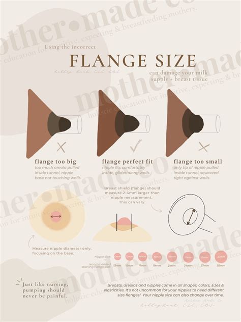 Flange Size Poster/handout // Breast Anatomy, Lactation Consultant ...