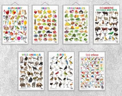 Alphabet, Fruits, Vegetables, Domestic Animals and Pets, Wild Animals ...