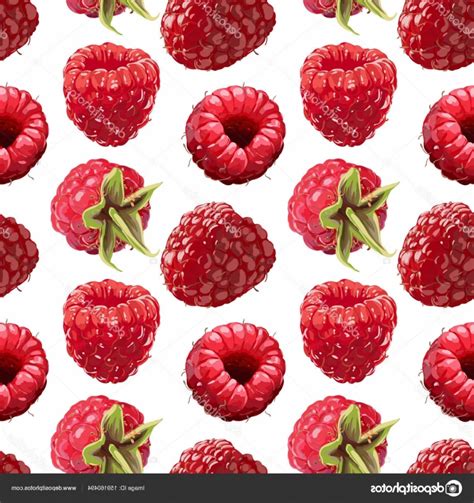 Image result for Raspberry Drawing Vector