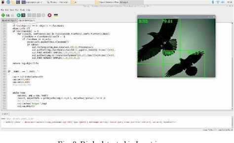 Image result for Raspberry Pi Crow