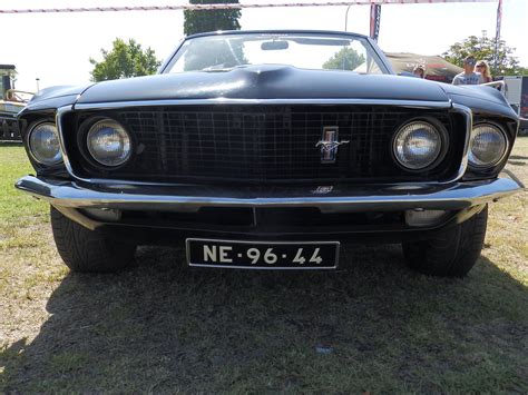 MUSTANG TOUR FARO (2025) All You Need to Know BEFORE You Go (with ...