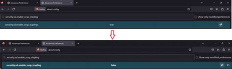 Firefox Browser Cannot Connection 的图像结果