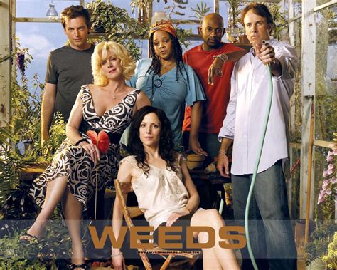 EL VUIT BRUIT: SERIE TV: WEEDS