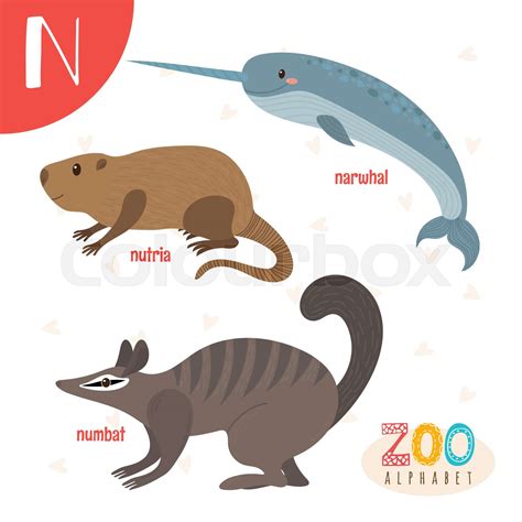 Letter N. Cute animals. Funny cartoon animals in vector. ABC book ...
