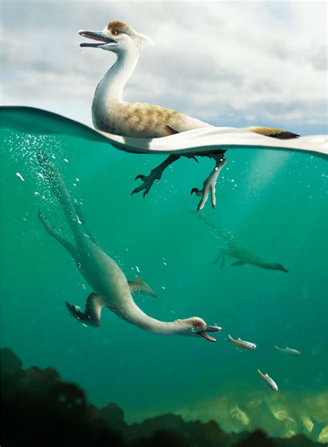 Could dinosaurs swim? A new fossil revives an age-old debate ...