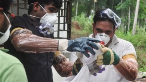 Kerala battles twin disease threat as Nipah alert coincides with ...