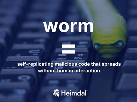 Malware Code Examples 的图像结果