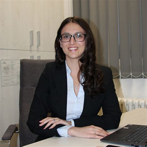 Karijera - Pan Harvest