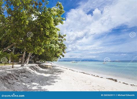 A Relaxing Scene of Trees Lining the Shoreline in Dumaluan Beach in ...