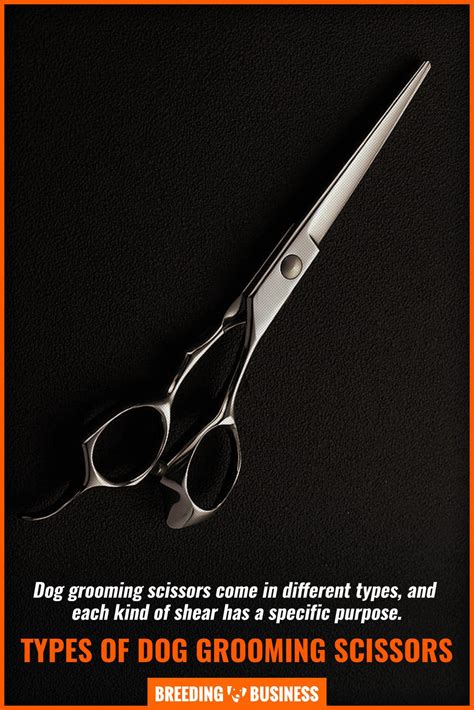 15 Best Dog Grooming Scissors – Shears, Chunkers, Straight-Cutting & Curved