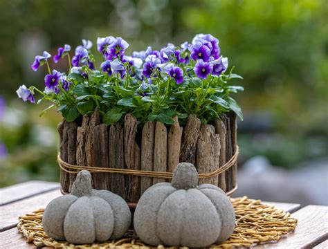 Best Fall Planter Ideas to Elevate Your Seasonal Outdoor Decor