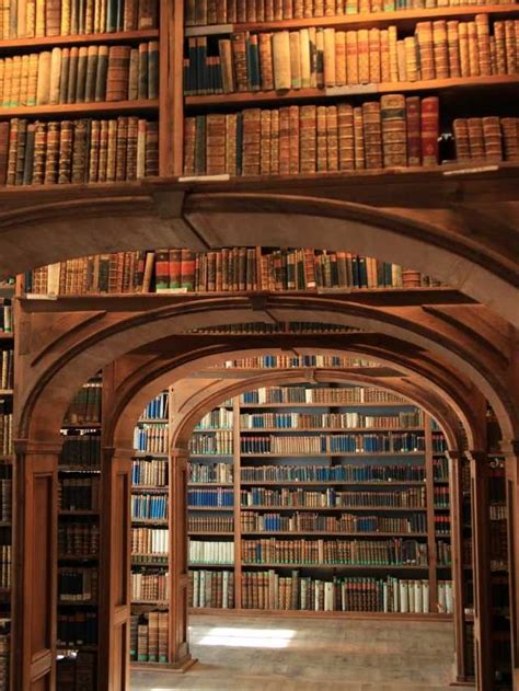 Library Meaning 的图像结果