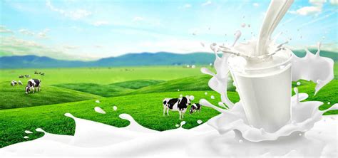 哪个牌子的纯牛奶最好_纯牛奶品牌排行榜前十名-中国排行网