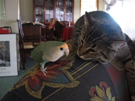 UNION AVENUE COMPOUNDING PHARMACY - Tacoma WA - Hours, Directions ...