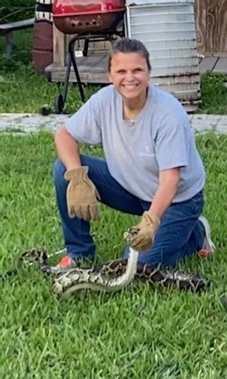 Image result for Burmese Python Food Chain