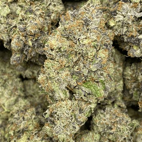 Image result for Death Machine