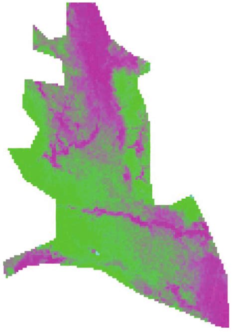 Image result for Spectral Angle Mapper Sam