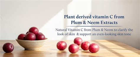 Blue Nectar Pore Minimizing Plum Face Serum for Acne Prone Skin | Oil ...