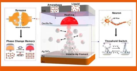 Neuromorphic memory device simulates neurons and synapses