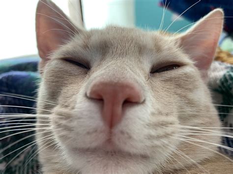 Kat Hacks Out 的图像结果